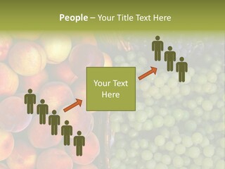 Tuscany Italy Vines PowerPoint Template