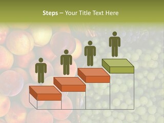 Tuscany Italy Vines PowerPoint Template