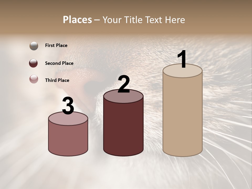 Driving Overtake Town PowerPoint Template