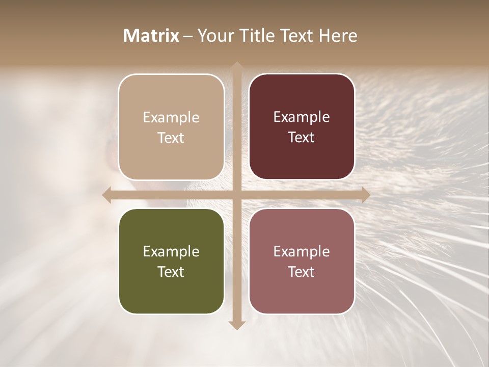 Driving Overtake Town PowerPoint Template