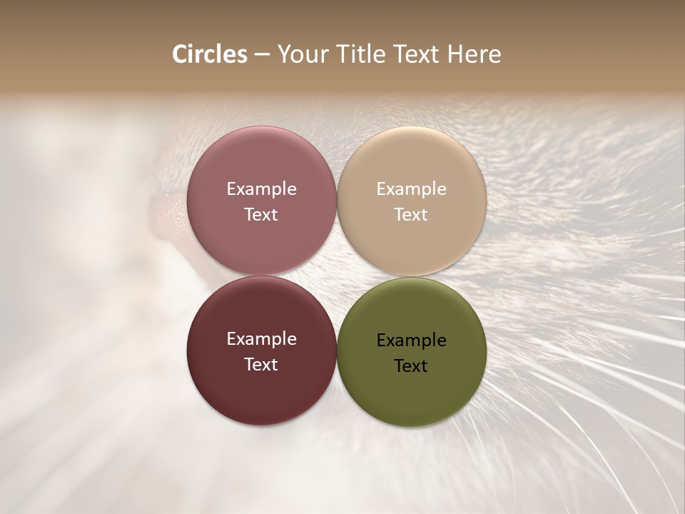 Driving Overtake Town PowerPoint Template