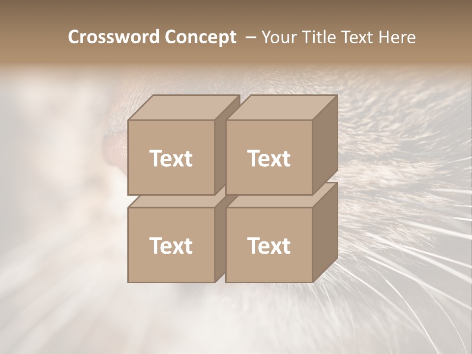 Driving Overtake Town PowerPoint Template