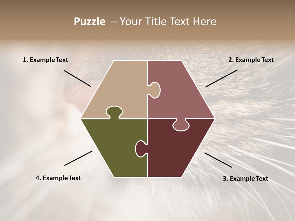 Driving Overtake Town PowerPoint Template