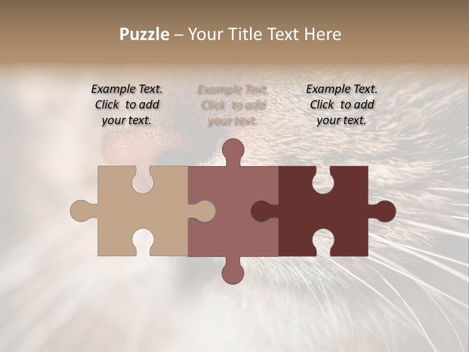 Driving Overtake Town PowerPoint Template