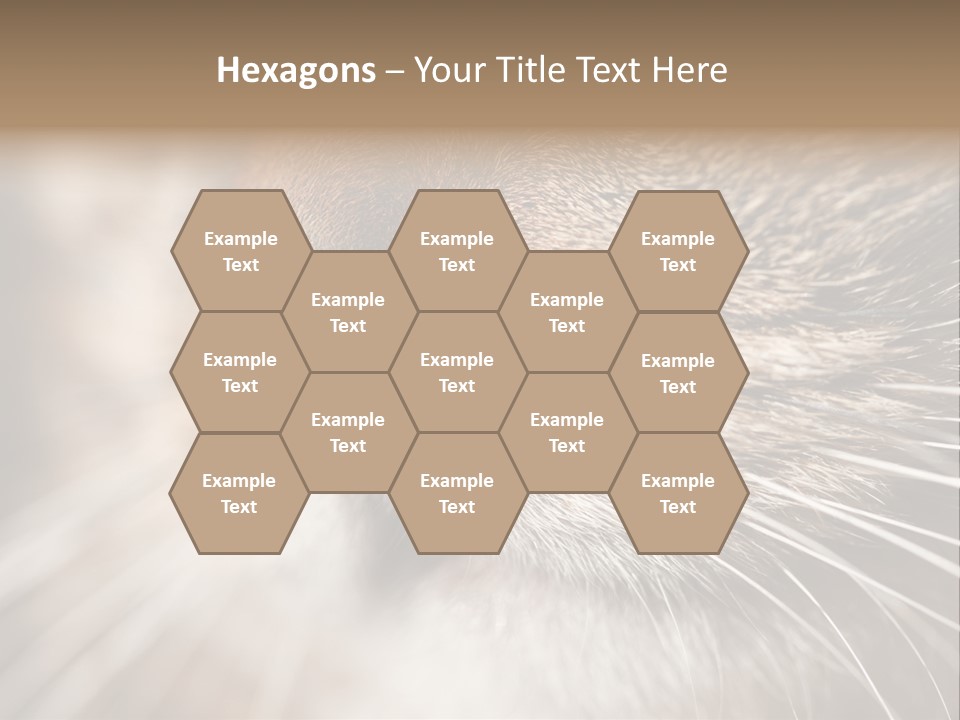 Driving Overtake Town PowerPoint Template