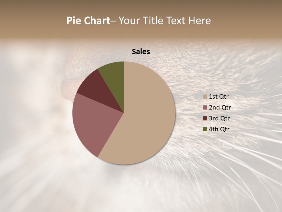 Driving Overtake Town PowerPoint Template