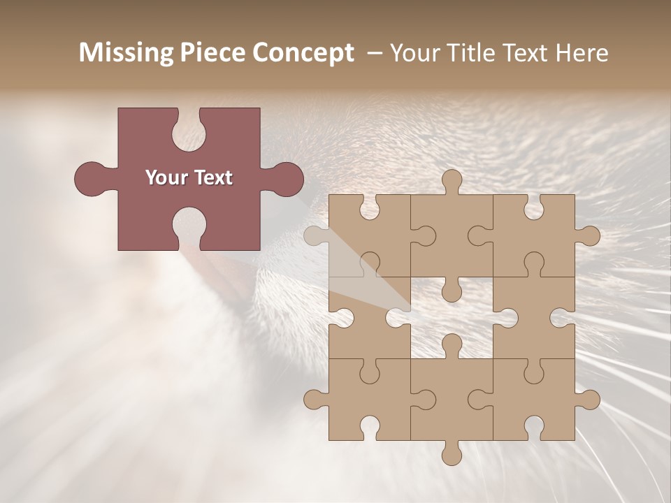 Driving Overtake Town PowerPoint Template