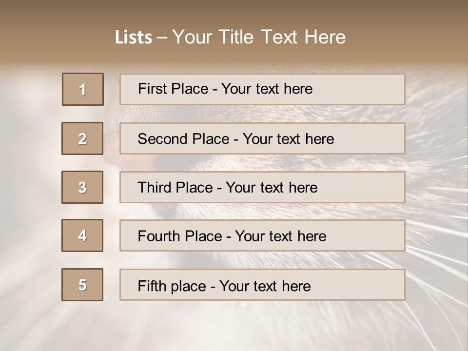 Driving Overtake Town PowerPoint Template