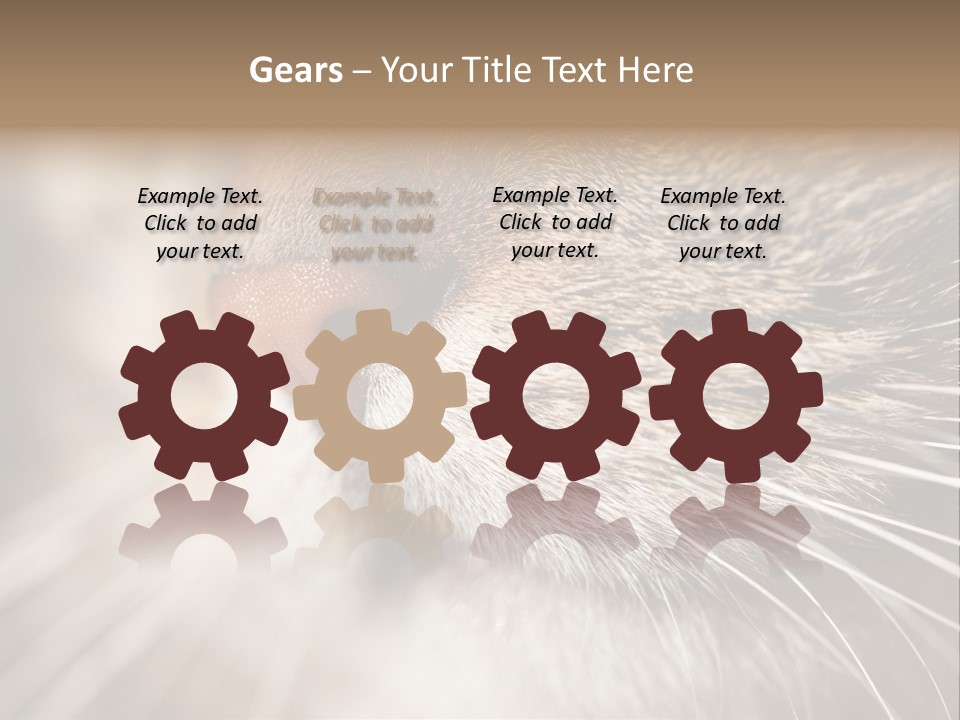 Driving Overtake Town PowerPoint Template