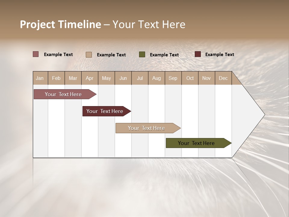 Driving Overtake Town PowerPoint Template