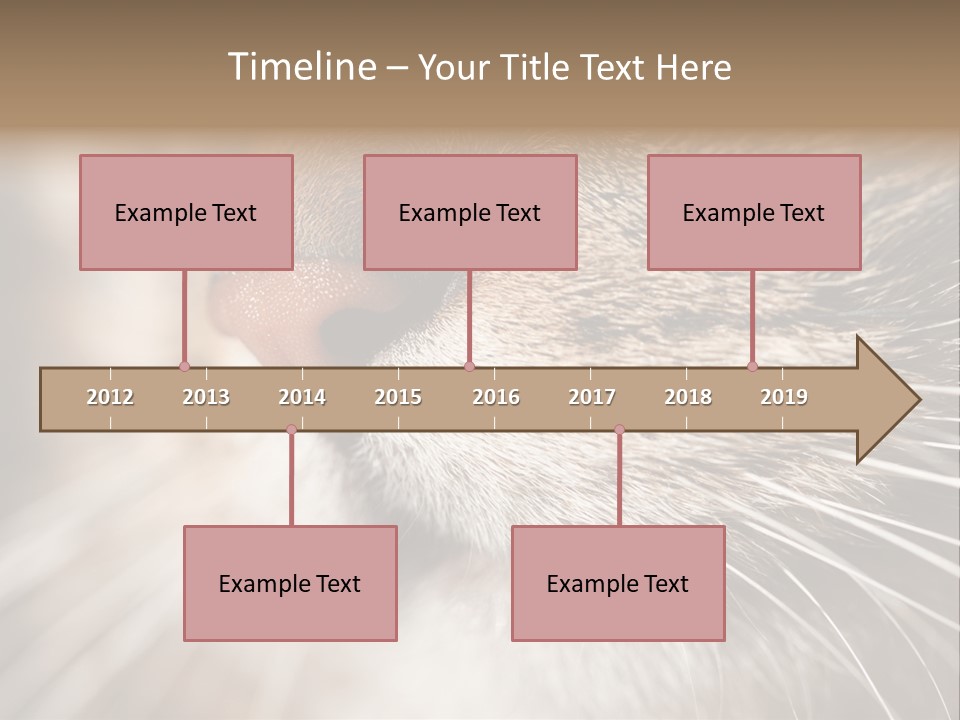 Driving Overtake Town PowerPoint Template