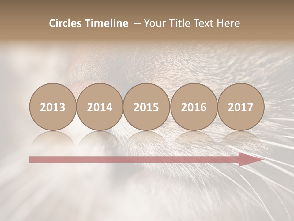 Driving Overtake Town PowerPoint Template