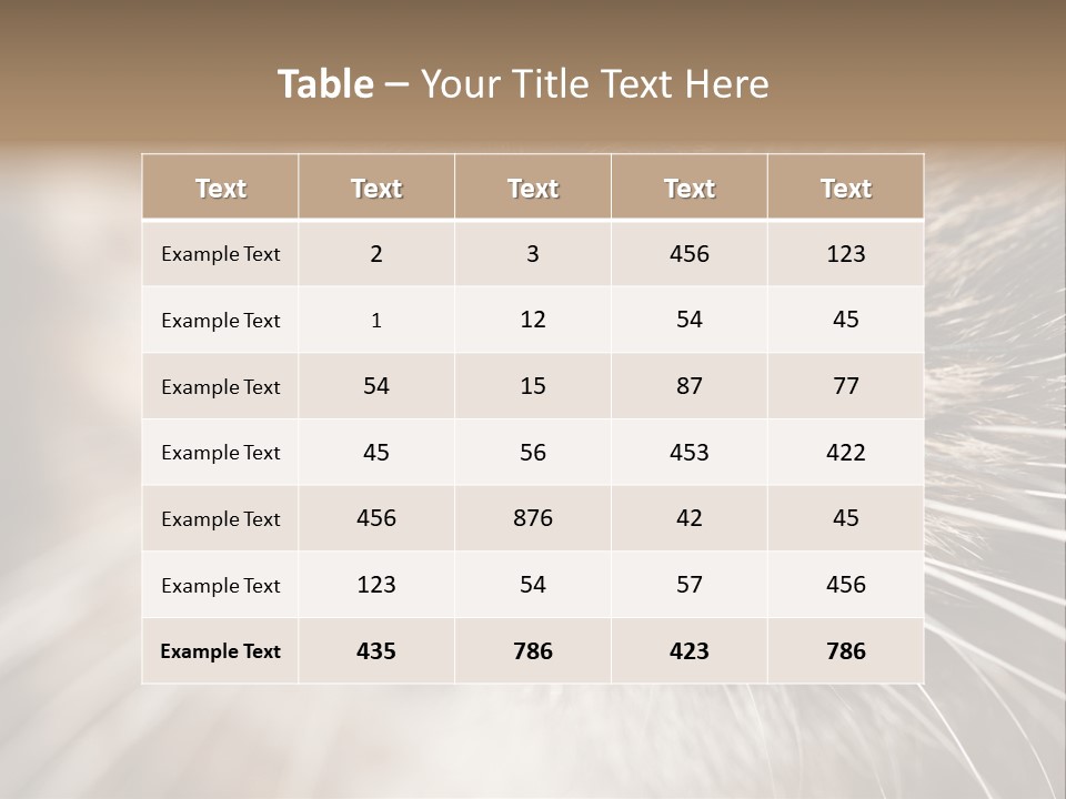 Driving Overtake Town PowerPoint Template