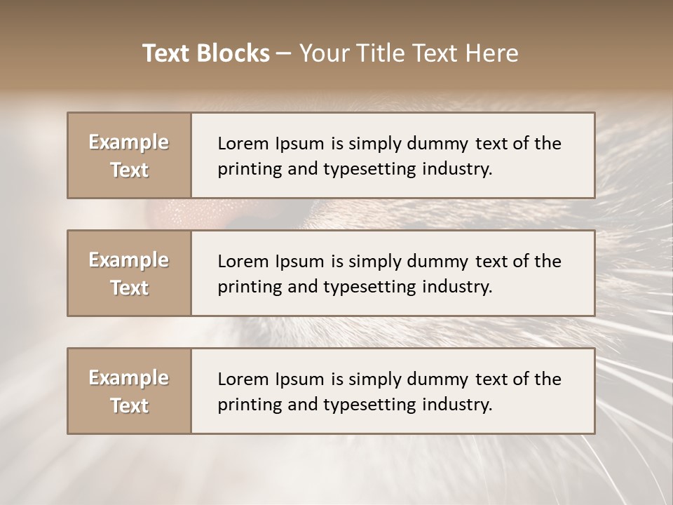 Driving Overtake Town PowerPoint Template