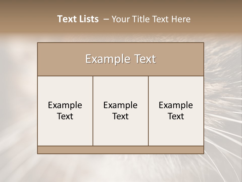 Driving Overtake Town PowerPoint Template