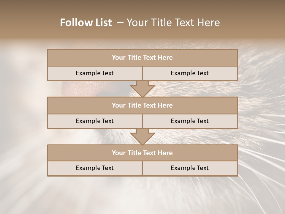 Driving Overtake Town PowerPoint Template