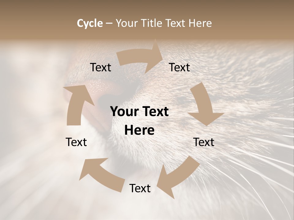 Driving Overtake Town PowerPoint Template