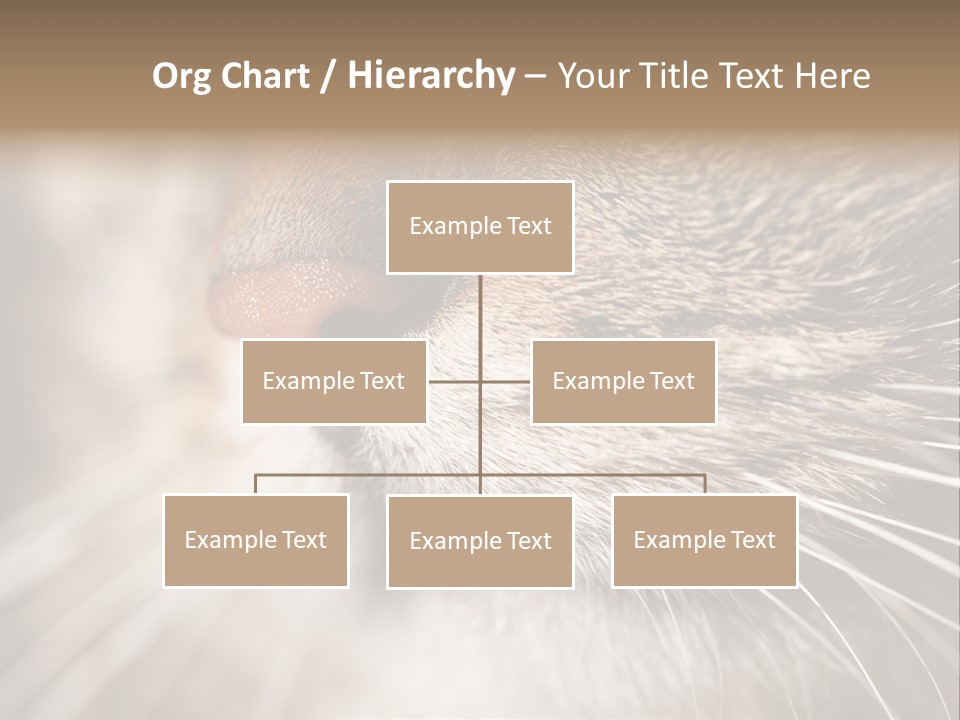 Driving Overtake Town PowerPoint Template