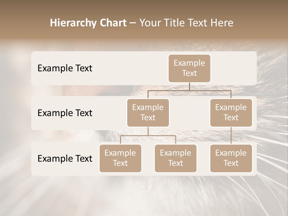 Driving Overtake Town PowerPoint Template