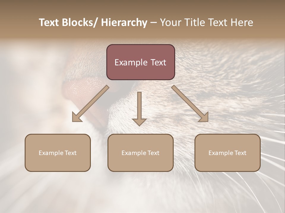 Driving Overtake Town PowerPoint Template
