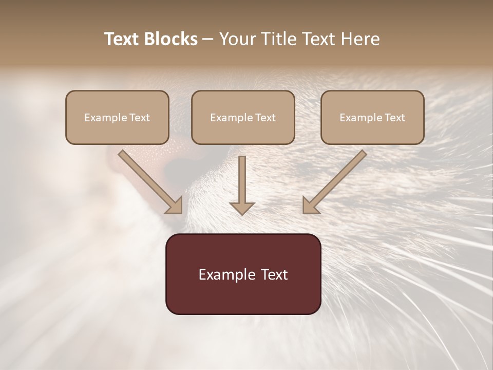 Driving Overtake Town PowerPoint Template