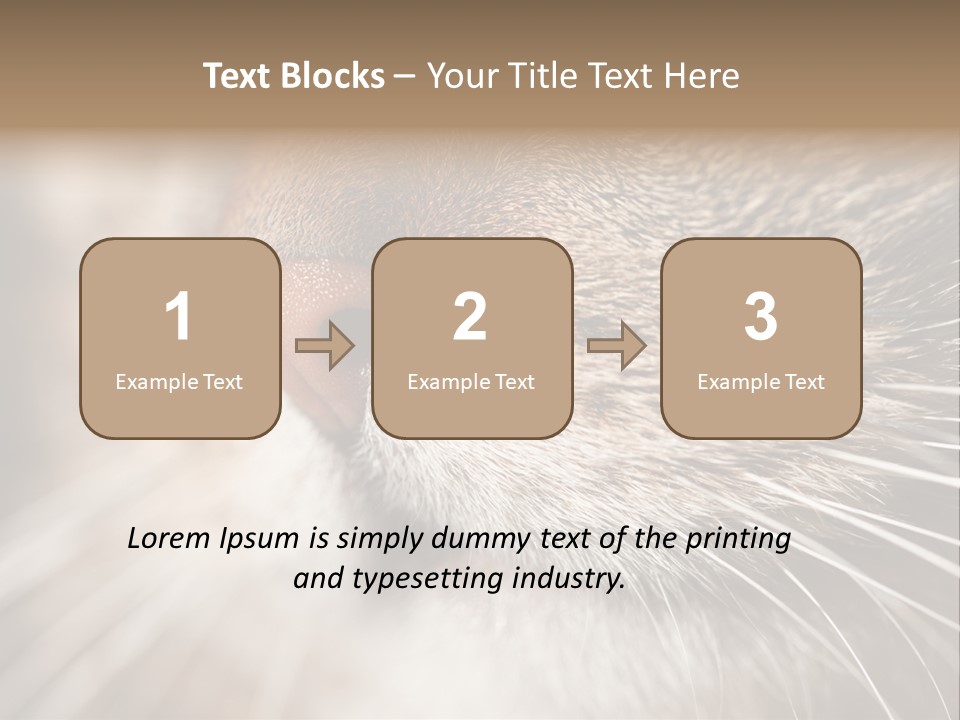 Driving Overtake Town PowerPoint Template