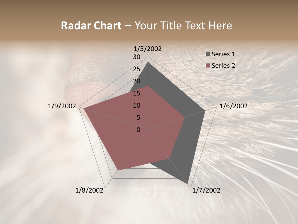 Driving Overtake Town PowerPoint Template