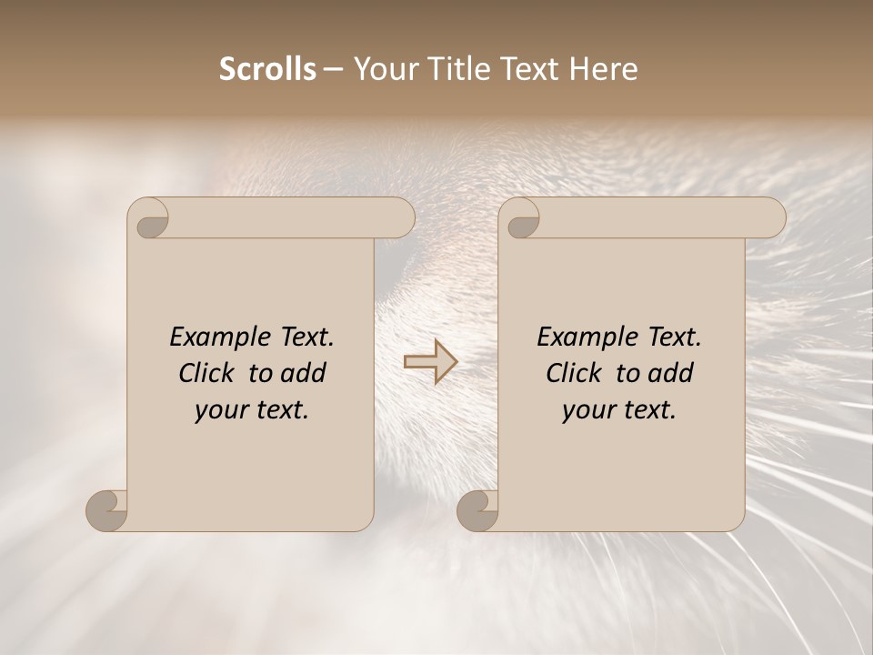 Driving Overtake Town PowerPoint Template