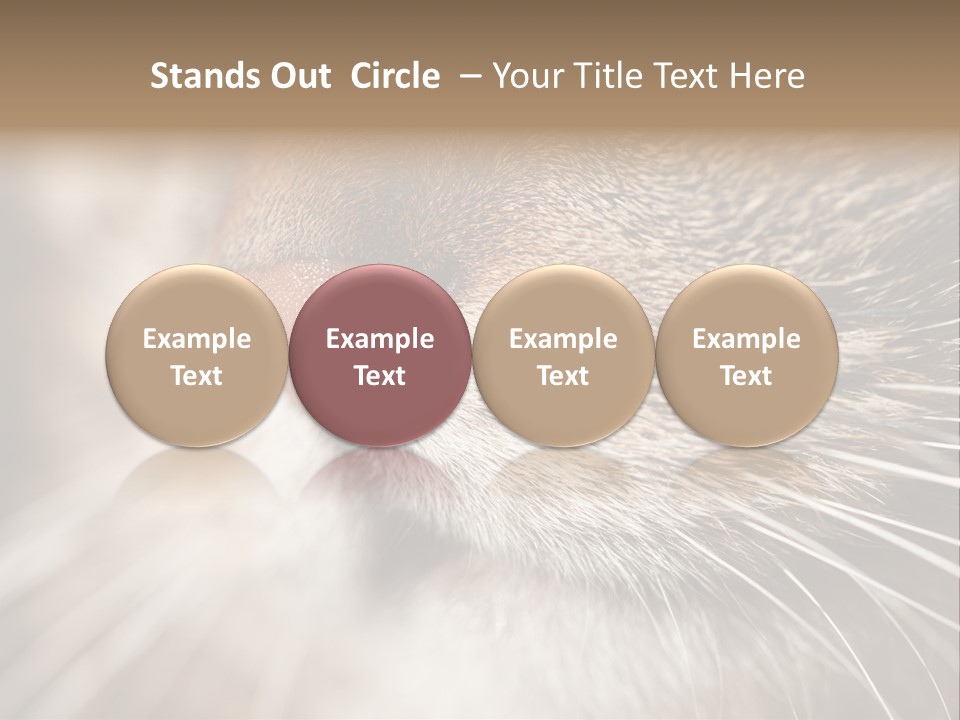 Driving Overtake Town PowerPoint Template