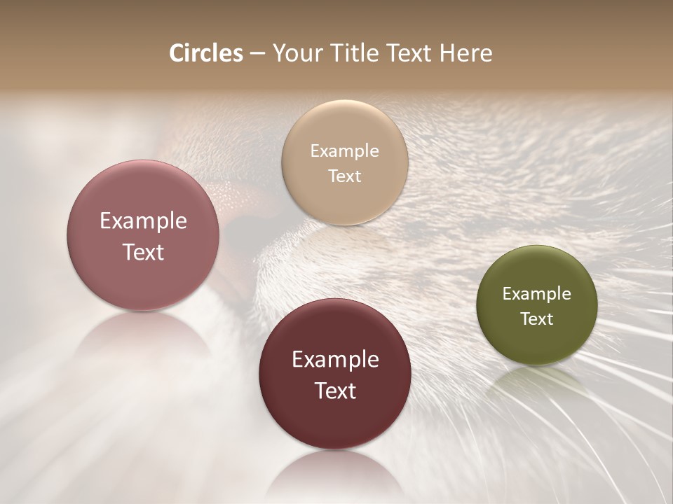 Driving Overtake Town PowerPoint Template