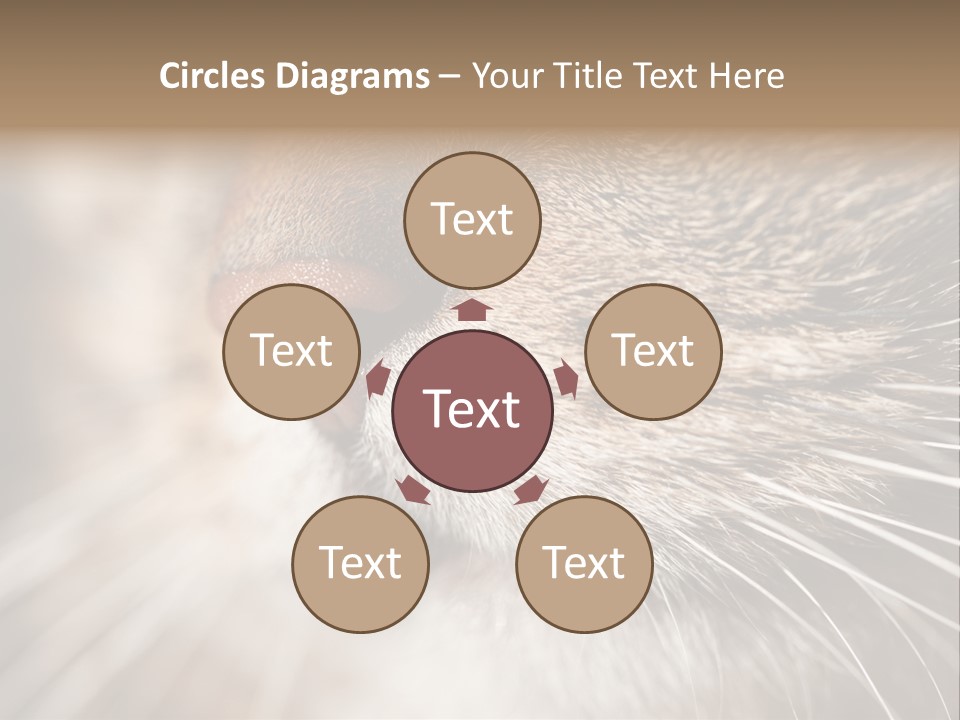 Driving Overtake Town PowerPoint Template