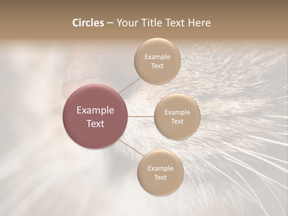 Driving Overtake Town PowerPoint Template