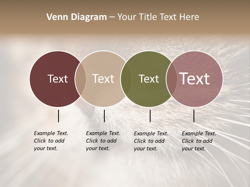 Driving Overtake Town PowerPoint Template
