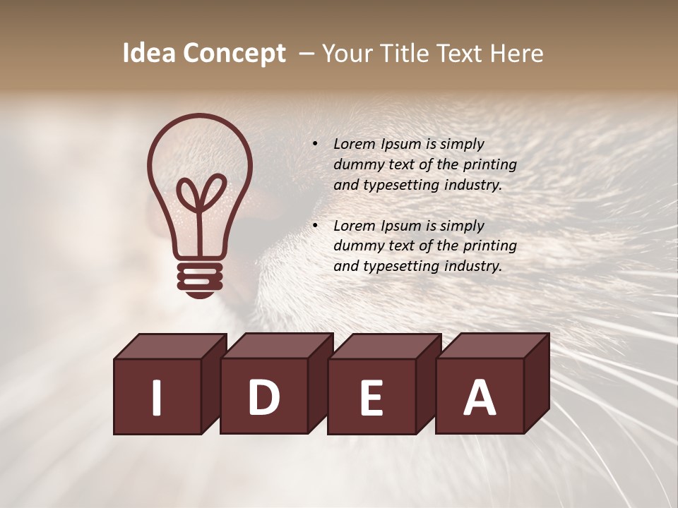 Driving Overtake Town PowerPoint Template