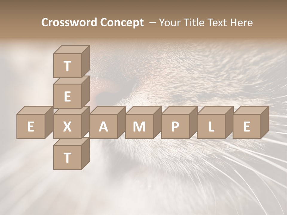 Driving Overtake Town PowerPoint Template