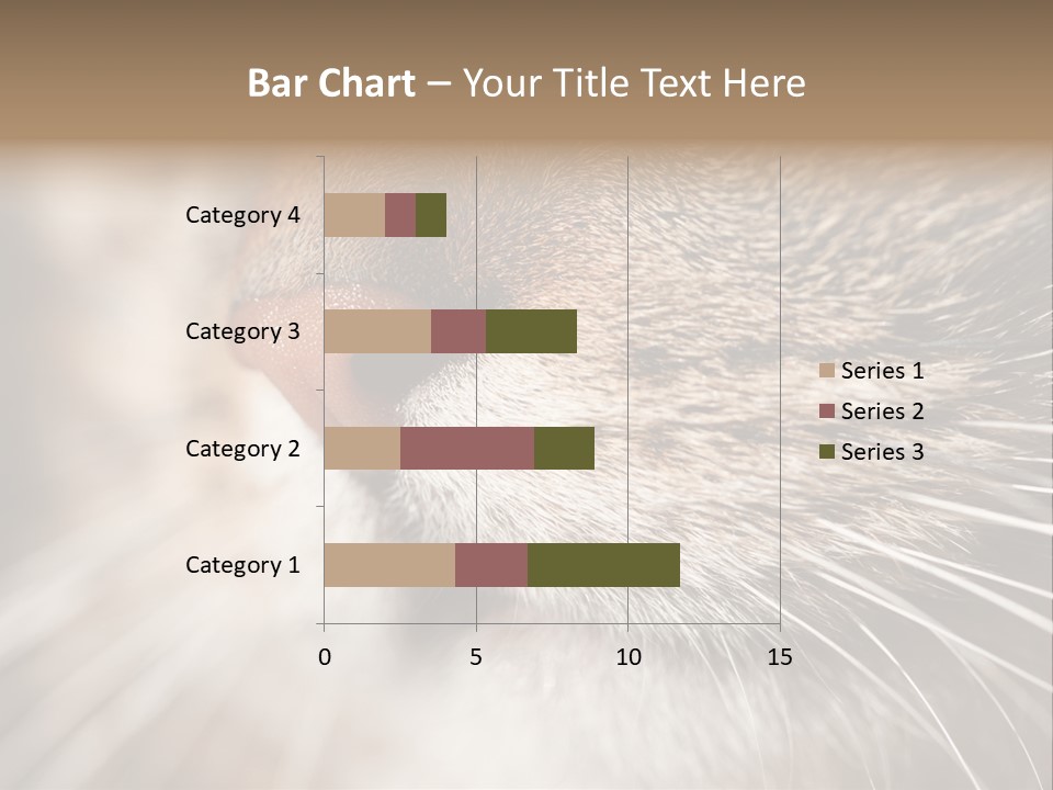 Driving Overtake Town PowerPoint Template