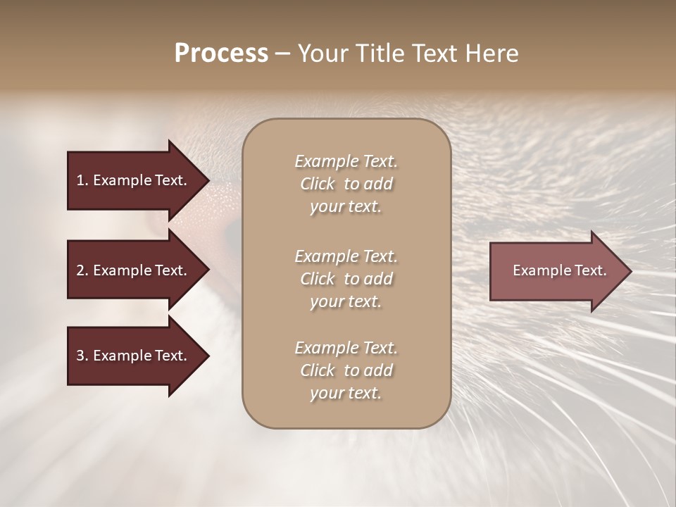 Driving Overtake Town PowerPoint Template