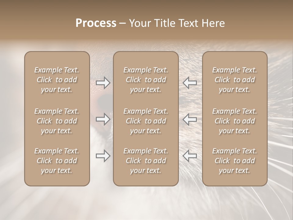 Driving Overtake Town PowerPoint Template