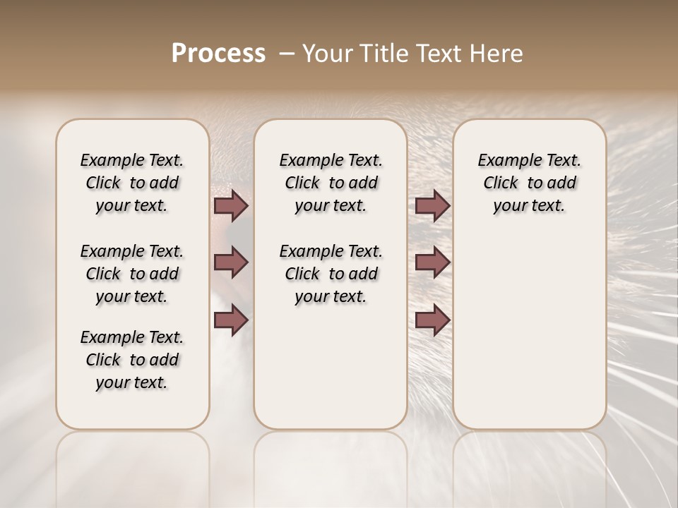 Driving Overtake Town PowerPoint Template