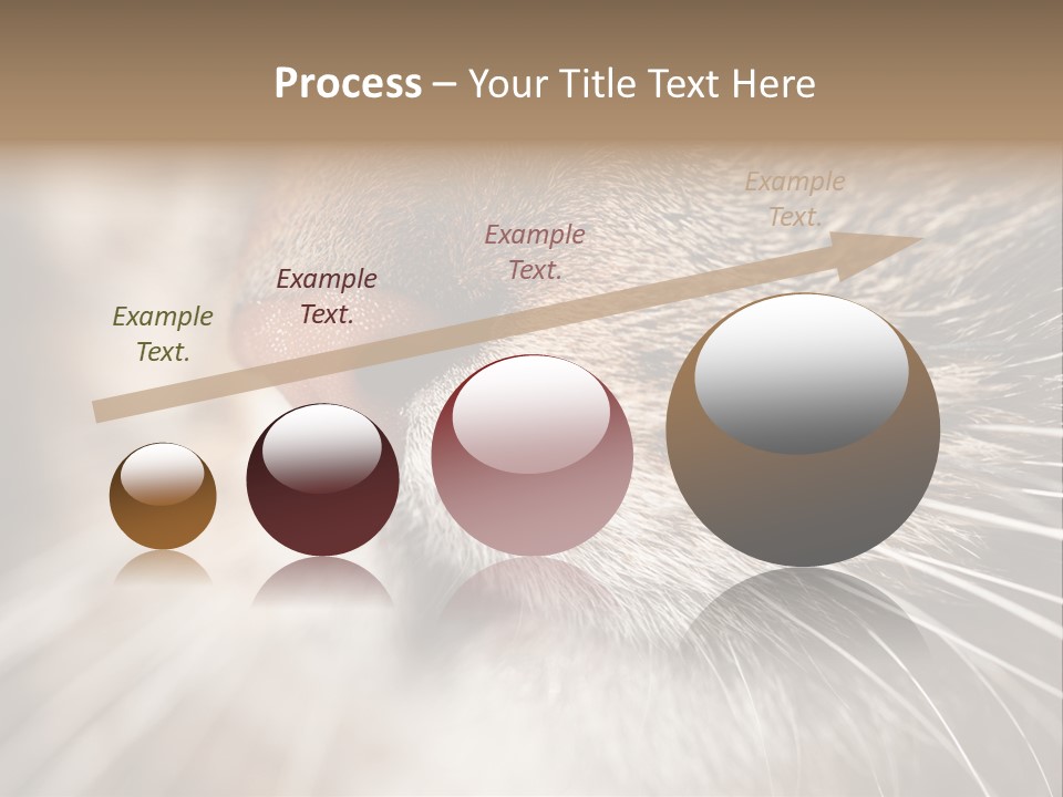 Driving Overtake Town PowerPoint Template