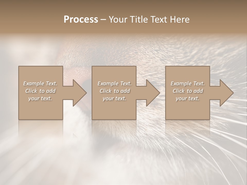 Driving Overtake Town PowerPoint Template