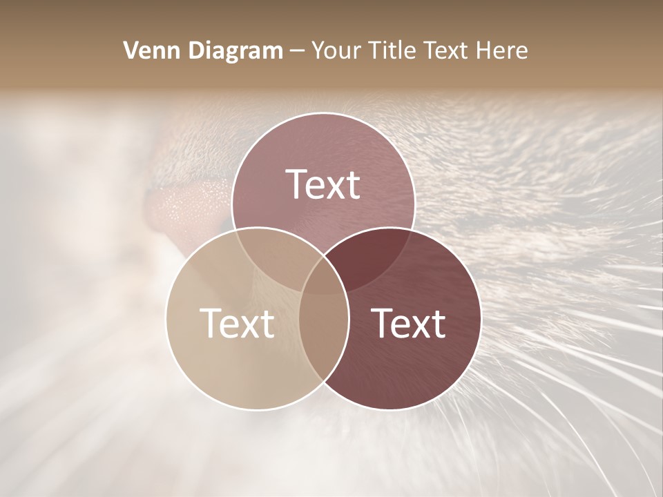 Driving Overtake Town PowerPoint Template