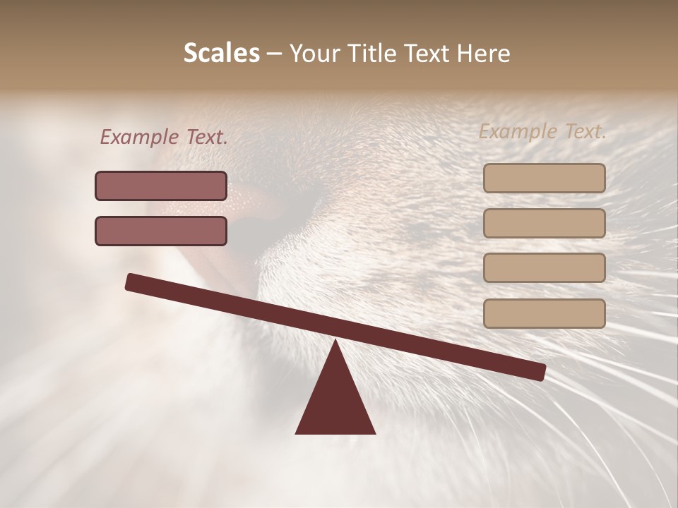 Driving Overtake Town PowerPoint Template