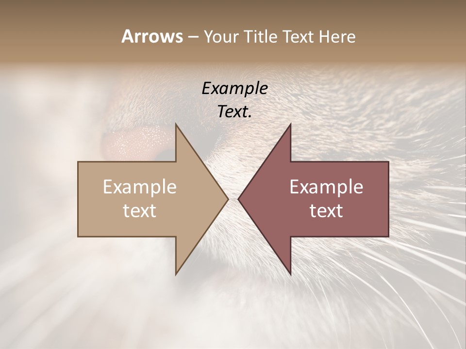 Driving Overtake Town PowerPoint Template
