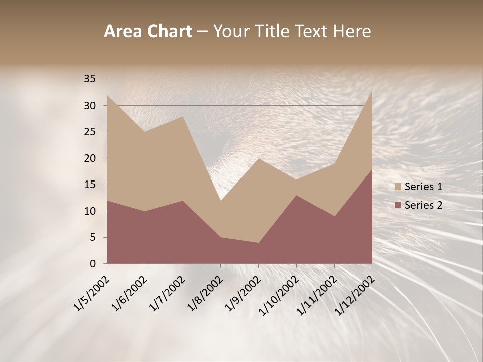 Driving Overtake Town PowerPoint Template