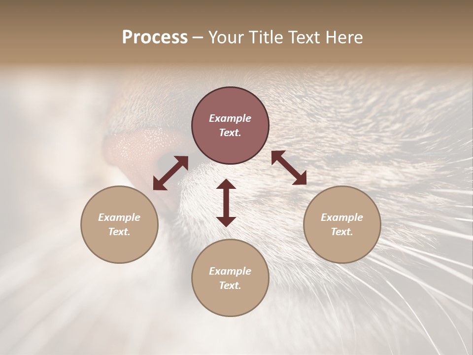 Driving Overtake Town PowerPoint Template
