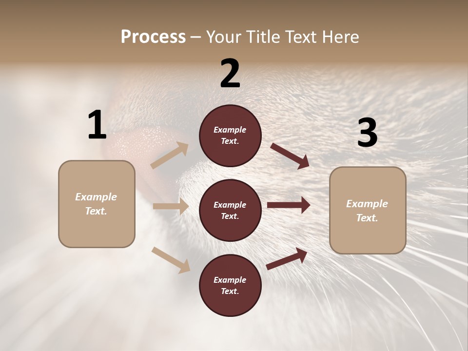 Driving Overtake Town PowerPoint Template
