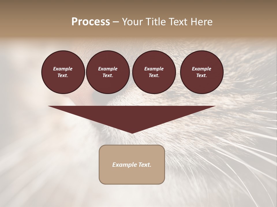 Driving Overtake Town PowerPoint Template