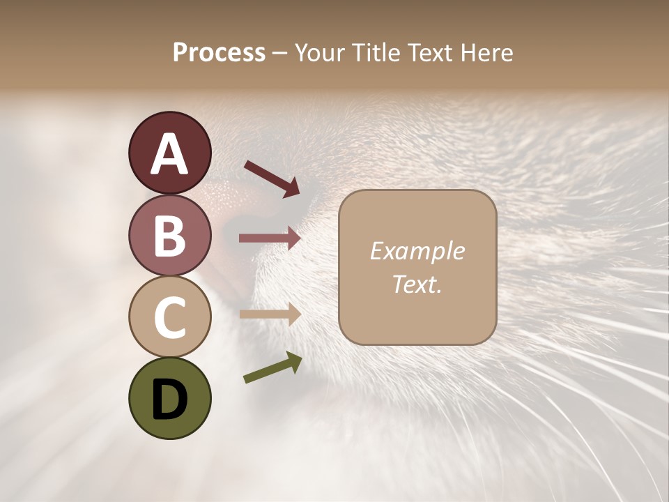 Driving Overtake Town PowerPoint Template