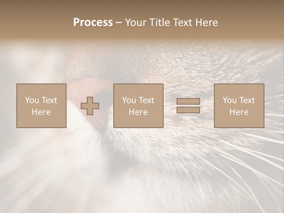 Driving Overtake Town PowerPoint Template